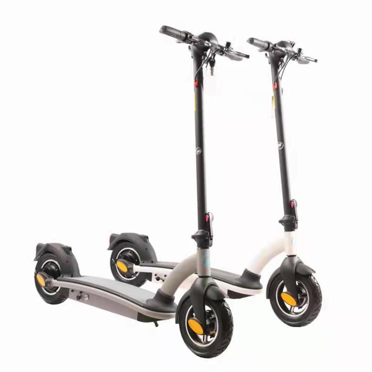 Elektrinis Motoroleris 36v 500w 8ah Des02