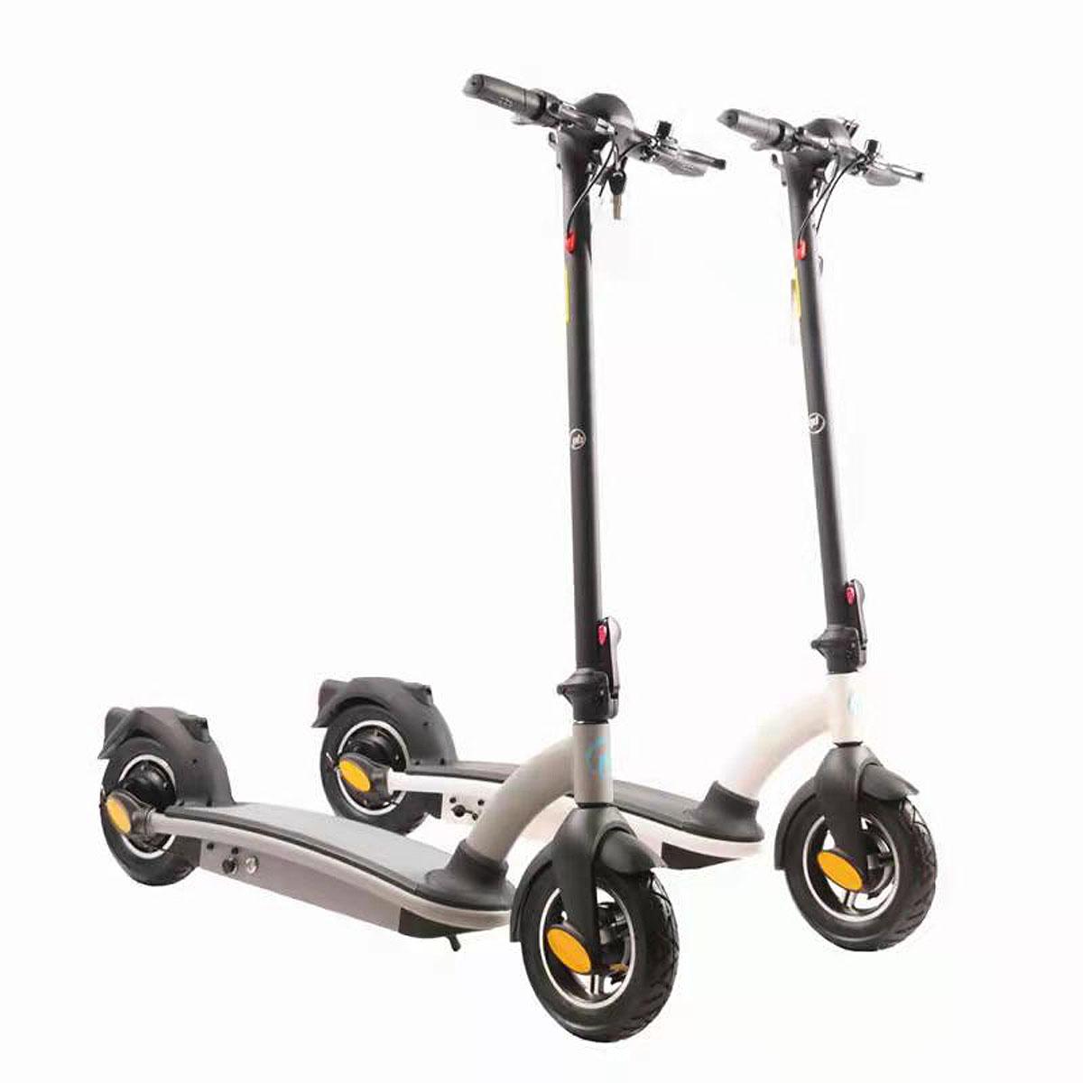 Elektrinis Motoroleris 36v 500w 8ah Des02