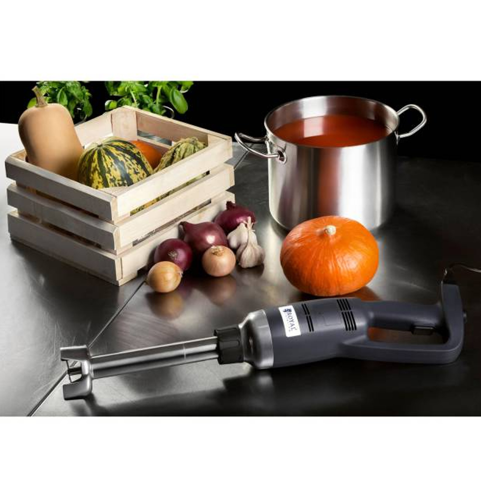 Rankinis Maišytuvas 350 W 230 V "royal Catering