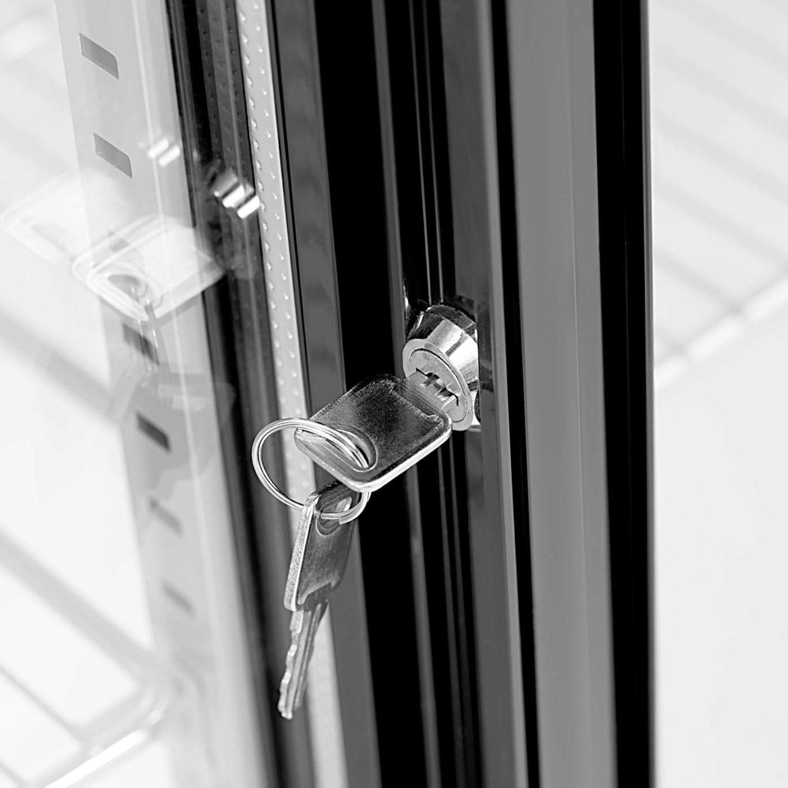 Gėrimų Baro šaldytuvas Su Stikliniu Fasadu 318 L 220 W