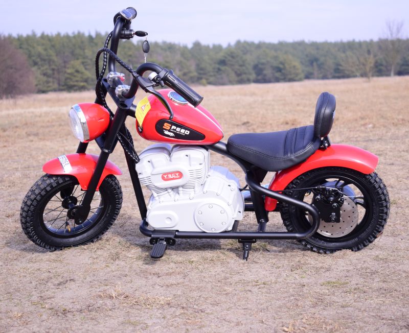 Superbike Speed 12 Plus Pripučiami Ratai, Plieninis Rėmas/a9902