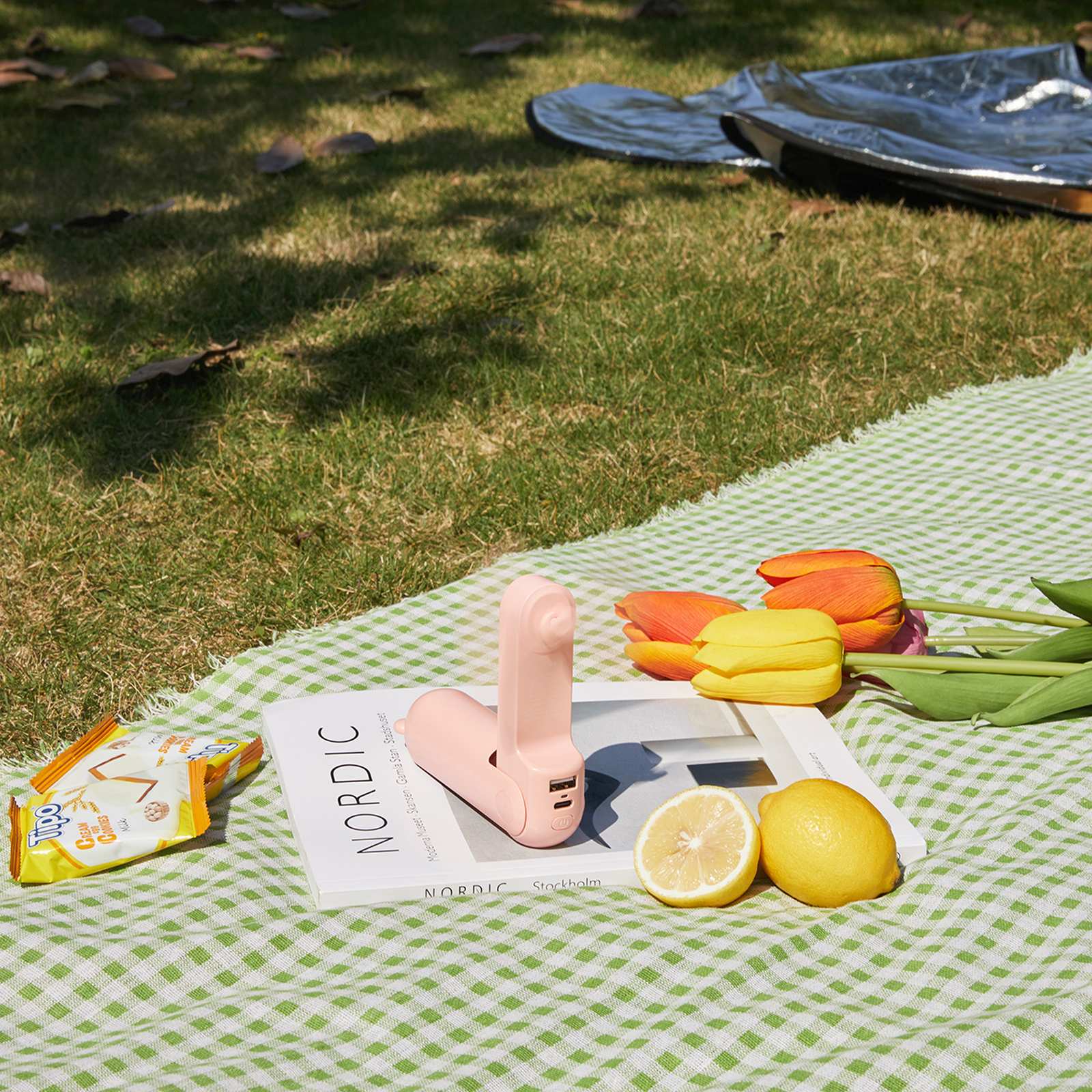 Mini Ventiliatorius Nešiojamasis Ventiliatorius Su Powerbanko Funkcija žibintuvėlis Usb-a Usb-c 2000 Mah - Rožinis