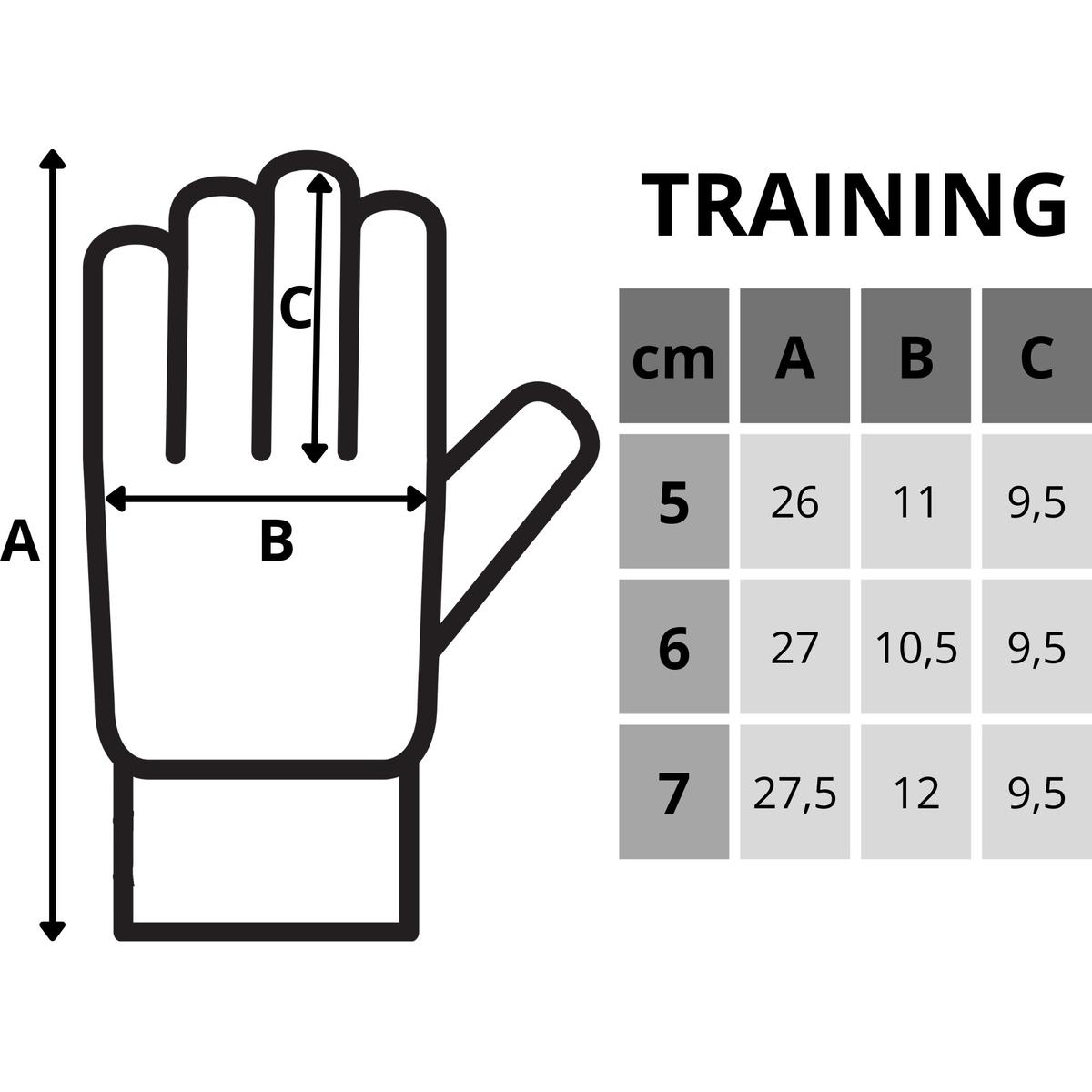 Vartininko Pirštinės Enero Training R.6