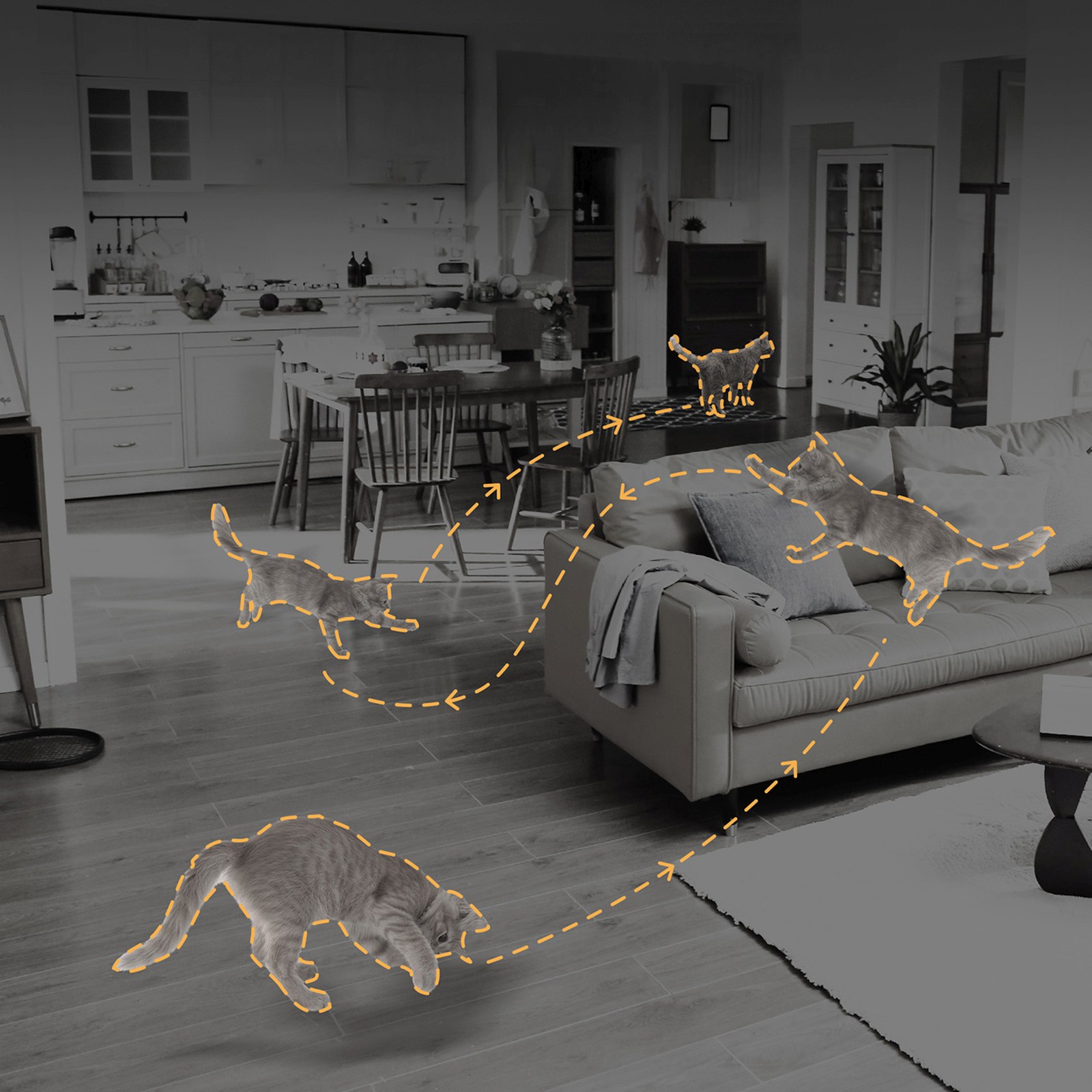 Vidaus Stebėjimo Kamera 1080p Ir "wi-fi" "bluetooth" - Balta