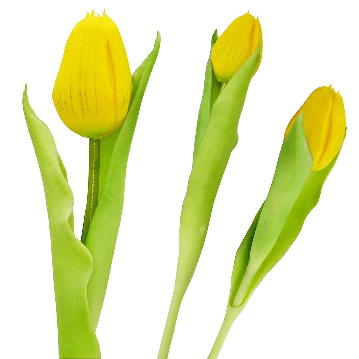 Geltona Tulpė 31 Cm Gyva Pavasario Dekoracija