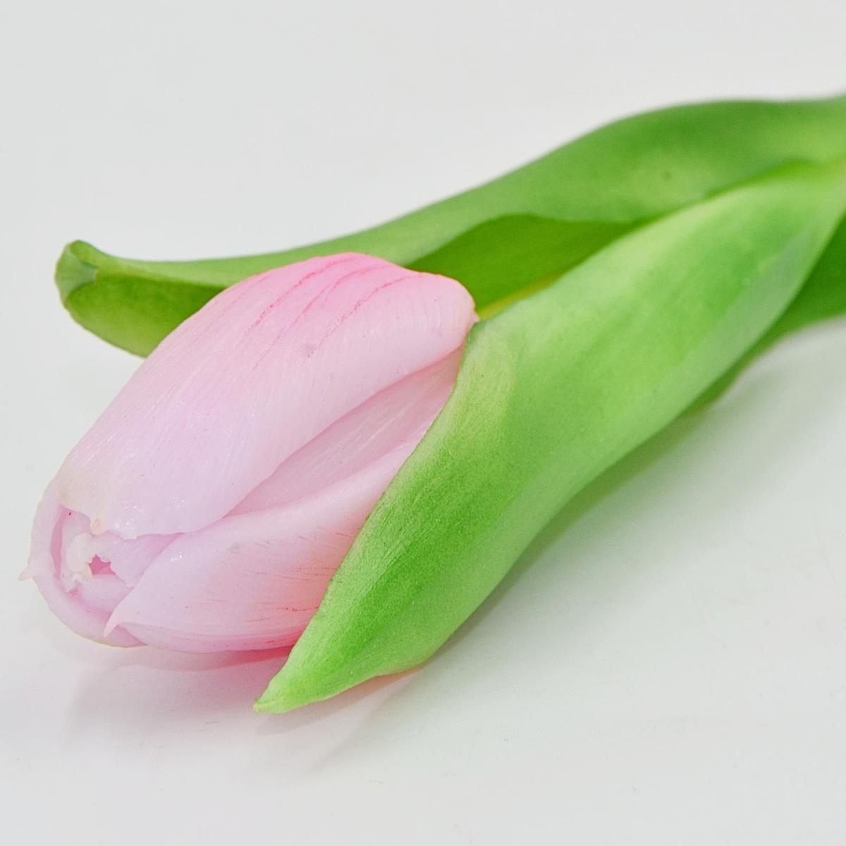 Rožinė Tulpė 31 Cm Kaip Gyva Pavasario Dekoracija
