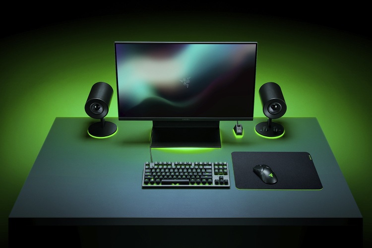 Razer Gigantus V2 Žaidimų pelės kilimėlis 3XL, Juoda/Žalia