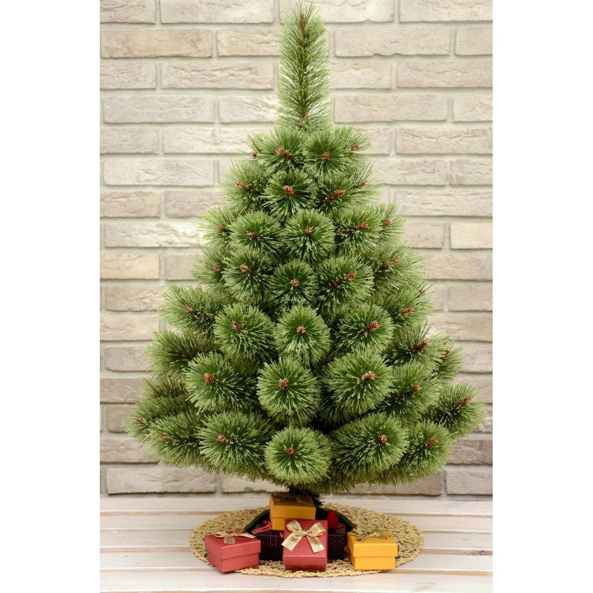 Kalėdų Eglė „klara“ Su Skirstytu Gyvybos Vynu, 50 Cm