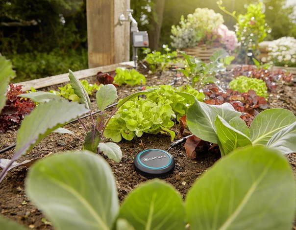 Dirvožemio drėgmės matuoklis Gardena Soil Moisture